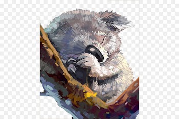 Koala Australia Watercolor painting Drawing - Watercolor lazy 