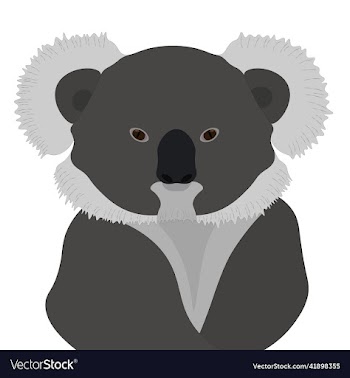 koala bear animal