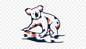 Koala, Bear, Wombat, Marsupial PNG