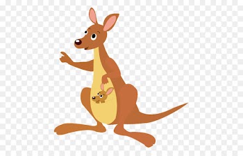 Koala Boxing kangaroo Child Illustration - mom kangaroo 