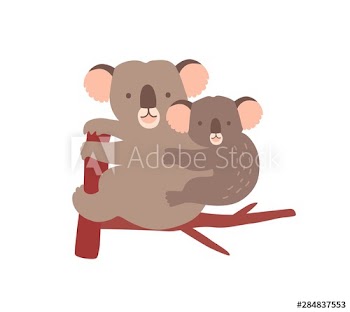 Koala with baby on tree branch isolated on white background