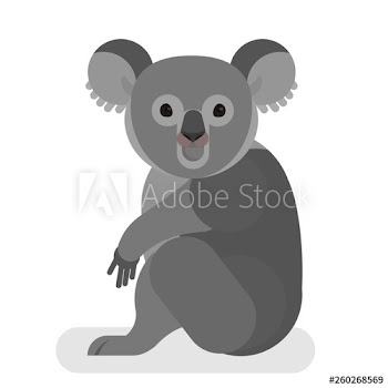 Koala with grey fur