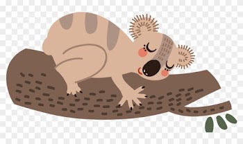 Koala Wombat Bear Cartoon Sloth - Alphabet Decals By Wallpops! - Alphabet Wall Decal