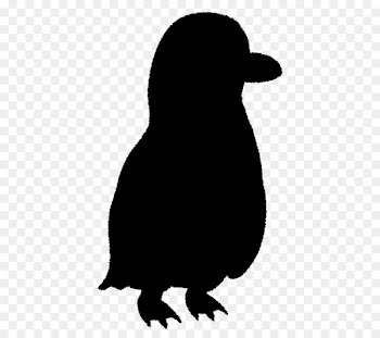 Koala Wombat Clip art Image Silhouette -  