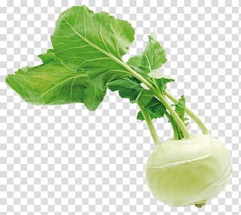 Kohlrabi Chard Turnip Collard greens Spring greens, vegetable transparent background PNG clipart