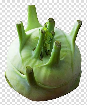 Kohlrabi Vegetable Brassica juncea, Kohlrabi transparent background PNG clipart