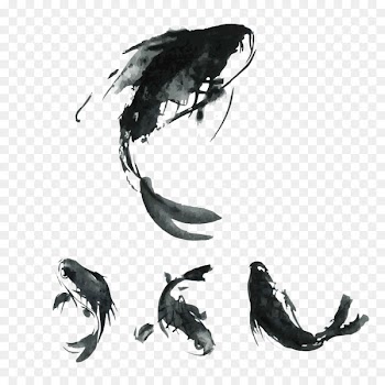 Koi Carassius auratus Chinese cuisine Carp fishing - Japanese ink painting carp 