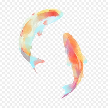 Koi Carassius auratus Fish Carp - fish 