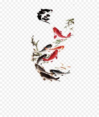 Koi Carassius auratus Ink wash painting Drawing - Ink fish 