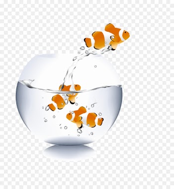 Koi Carassius auratus Robot fish Toy - Fish jumping 