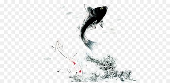 Koi China Fish Ink wash painting Chinese painting - Ink fish 