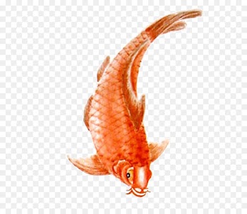 Koi Download Ink wash painting Fish - fish 