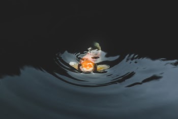 Koi Fish