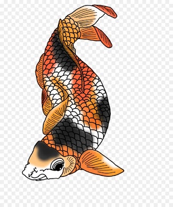 Koi Fish Clip art - fish 