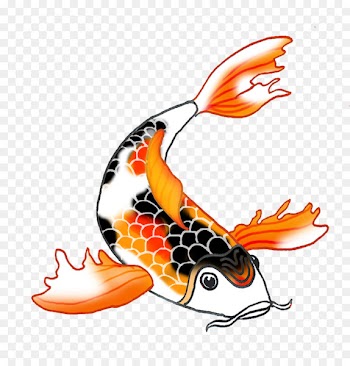 Koi Fish Drawing Clip art - koi 