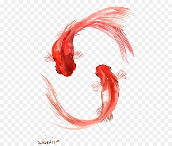 Koi Goldfish Painting World Without Fish - goldfish 