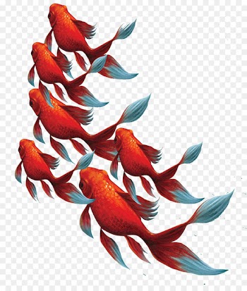 Koi Goldfish Paper Aquarium Business card - Swimming goldfish 