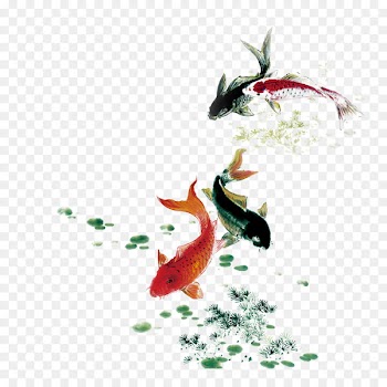Koi Ink Carp - Four lithium fish 