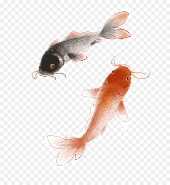 Koi Ink wash painting Image Portable Network Graphics - hurry up 
