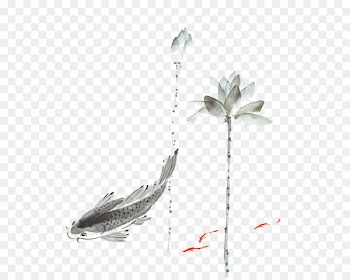 Koi, Ink Wash Painting, Painting, Plant, Flower PNG