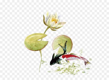 Koi Ink wash painting Pond - The classic ukiyoe Koi background 