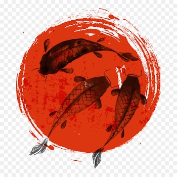 Koi Japan Drawing Illustration - Wind Fish Ink 
