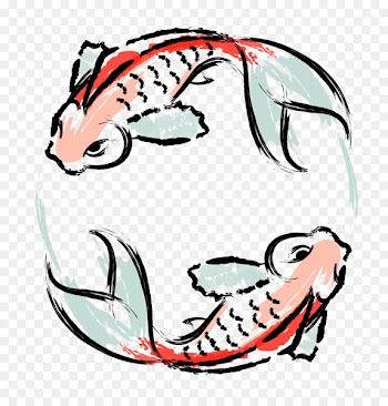 Koi Japanese Cuisine Goldfish - japan 