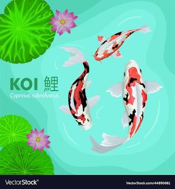 koi natural pond