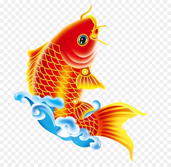 Koi Portable Network Graphics Image Clip art Goldfish -  