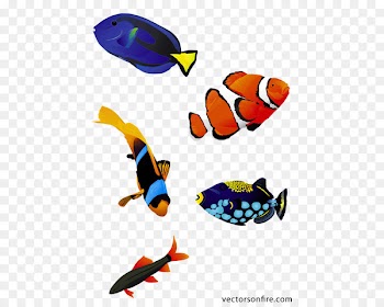 Koi Saltwater fish Clip art - Aquarium fish 