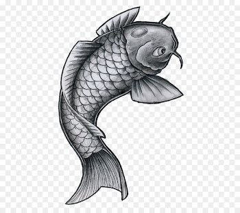 Koi Tattoo Drawing Goldfish - fish 