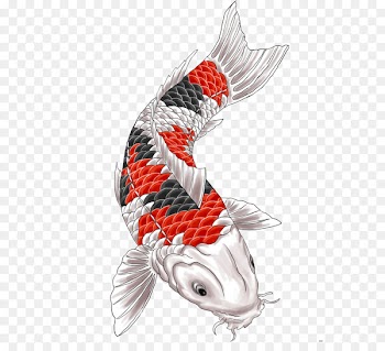 Koi Tattoo Irezumi Clip art - japan tattoo 