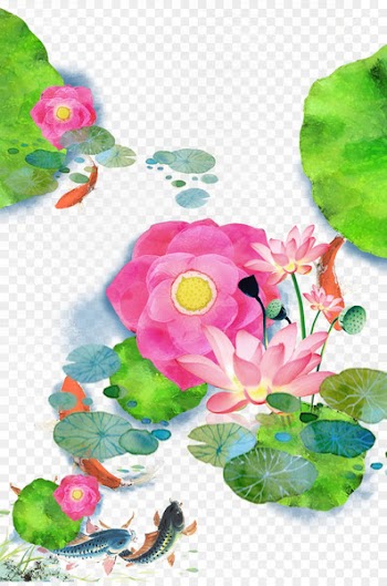 Koi Watercolor painting Download - Chinese wind lotus flowers carp 