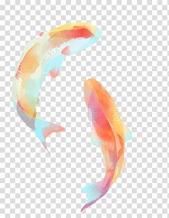 Koi Watercolor painting Fish , Drawing Pisces pattern transparent background PNG clipart