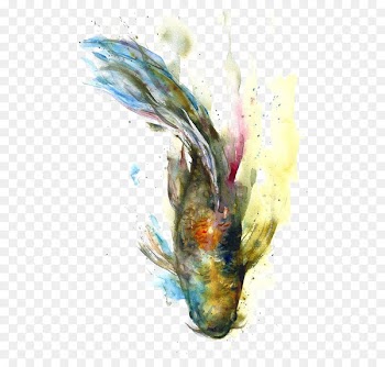 Koi Watercolor painting Goldfish - Watercolor fish 