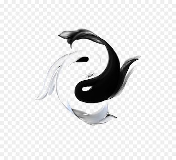 Koi Yin and yang Yin Yang fish Tattoo Drawing - Creative Fish Taiji Bagua 