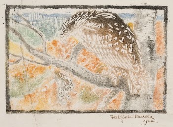 Kokko the eagle, illustration for the great | Free Photo - rawpixel