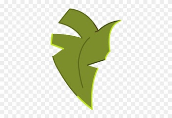 Kokoko Leaf - Kokoko Leaf