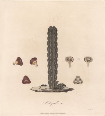 Kolquall 1790 by James Heath | Free Photo - rawpixel