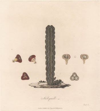 Kolquall 1790 by James Heath | Free Photo - rawpixel