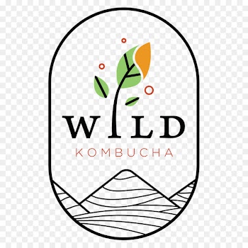 Kombucha Green tea Probiotic Spice - tea 