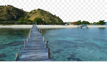 Komodo Lombok Rinca Flores Gili Islands - Komodo National Park Attractions 