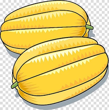 Korean melon Daum Naver Blog Email, Hand painted pumpkin transparent background PNG clipart
