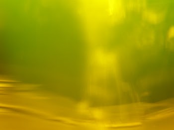 kr051308_007.jpg