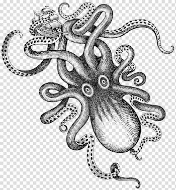 Kraken Rum Liquor Octopus, Watercolor octopus transparent background PNG clipart