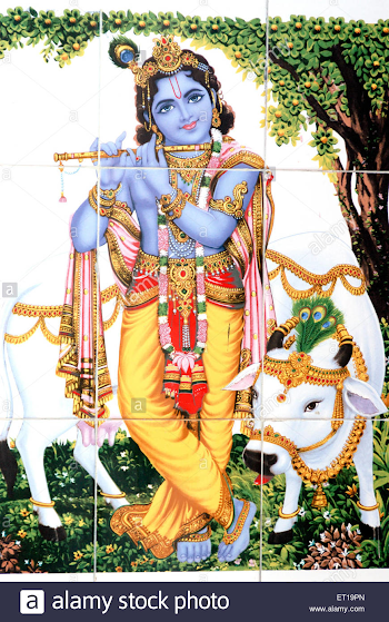 Krishna Cow Stock Photos & Krishna Cow Stock Images - Alamy