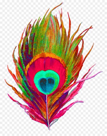 Krishna, Peafowl, Feather, Colorfulness PNG