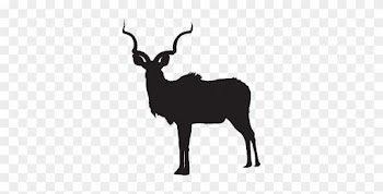 Kudu Gallery Kudu Images In Their Natural Habitat In - Silhouette Of White Tailed Deer