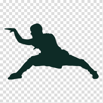 Kung fu stance training - Transparent PNG & SVG vector