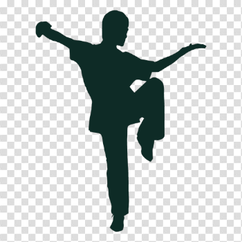Kung fu stance - Transparent PNG & SVG vector